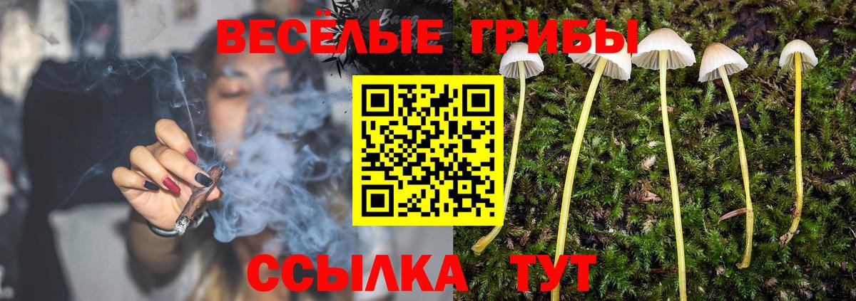 Черкесск  Псилоцибиновые грибы прущие грибы  Вход с VPN  Галлюциногенные грибы прущие грибы 