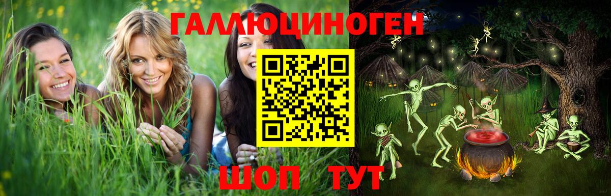 Галлюциногенные грибы MAGIC MUSHROOMS Черкесск